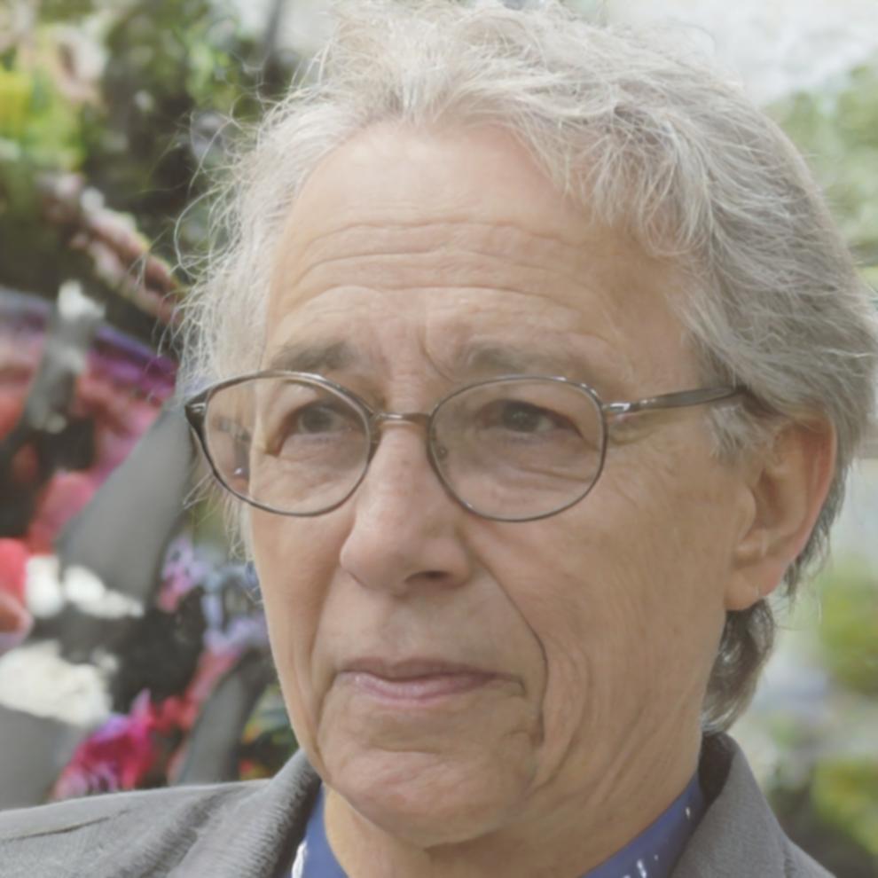 Dozent Matthias Bergemann